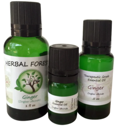 Ginger Oil 1/2 oz