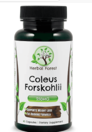 Coleus Forskohlii